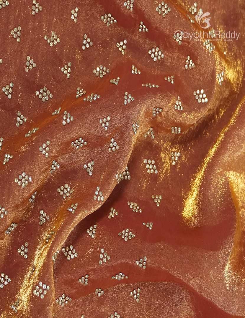 Organza Fancy Saree in Coral