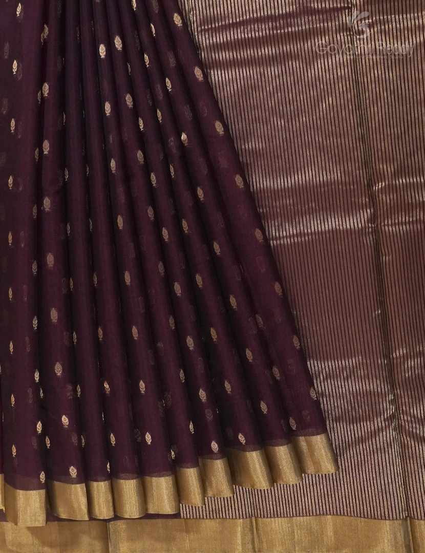 PURE KANCHI SICO-KIS968