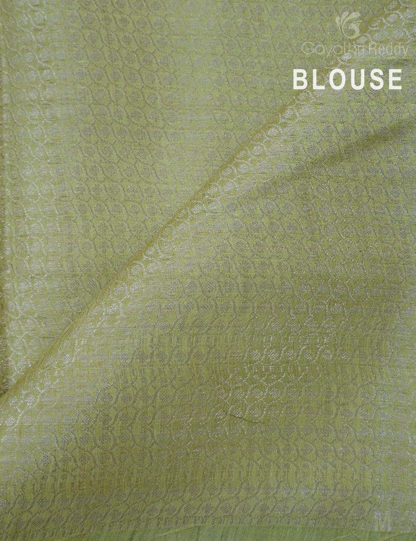 PURE DESI TUSSAR SILK-TS1462