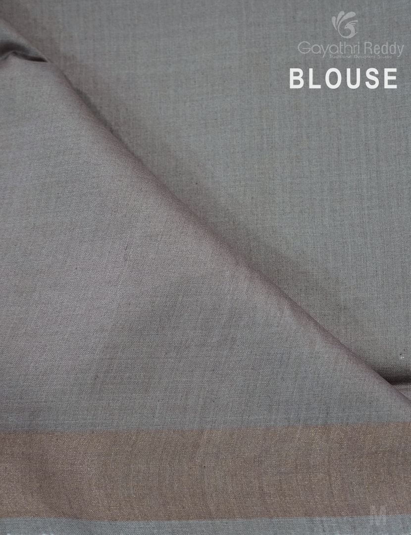 PURE DESI TUSSAR SILK-TS1384