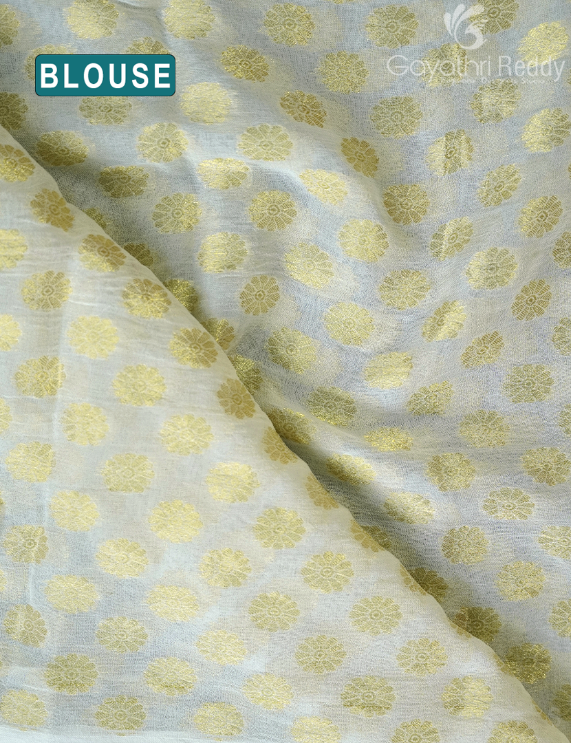 CHINON CHIFFON-PCF223