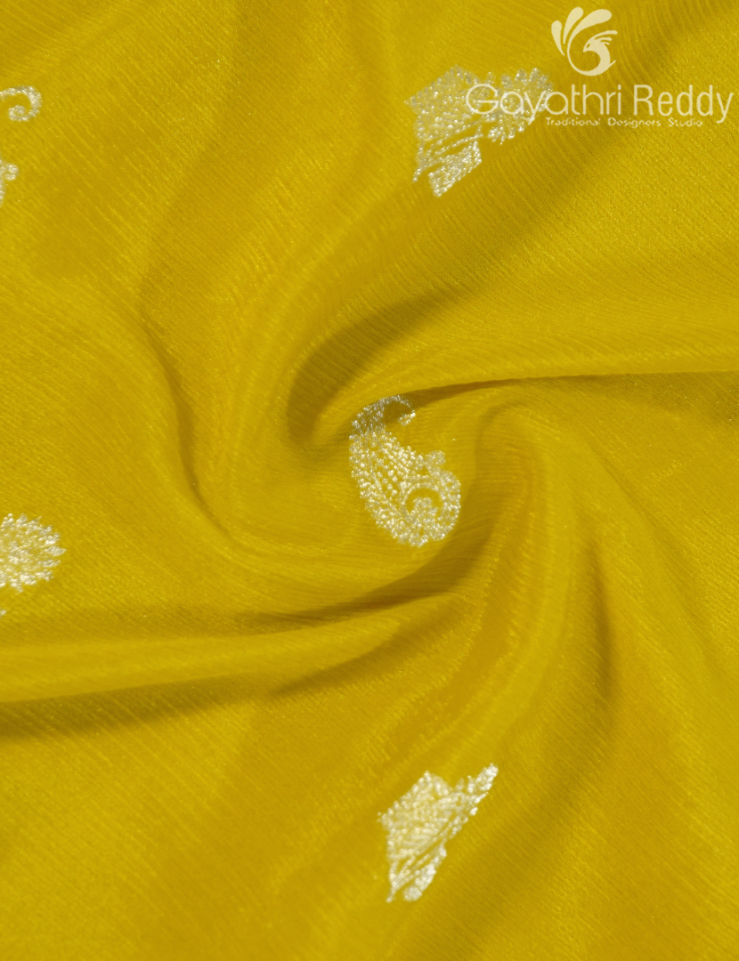 CHINON CHIFFON FANCY-PCF360