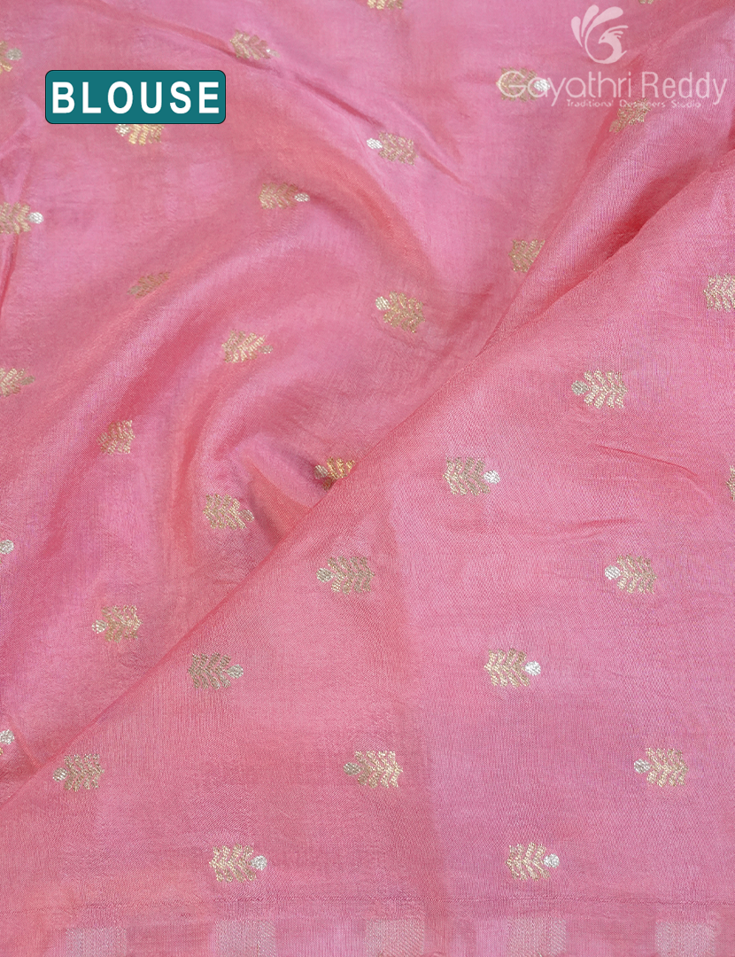 CHINON CHIFFON-PCF194