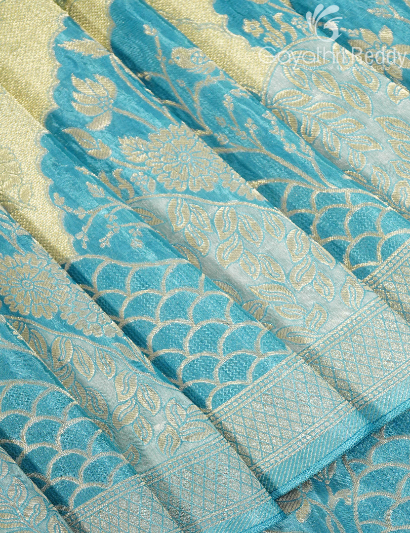 DOLA TISSUE FANCY-DTF11