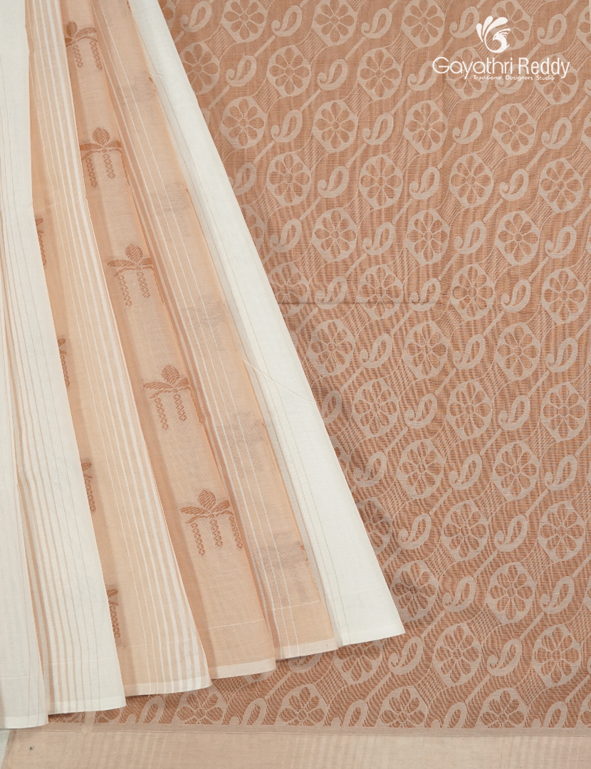 Pure Kanchi Cotton Saree in Cream and Light Beige