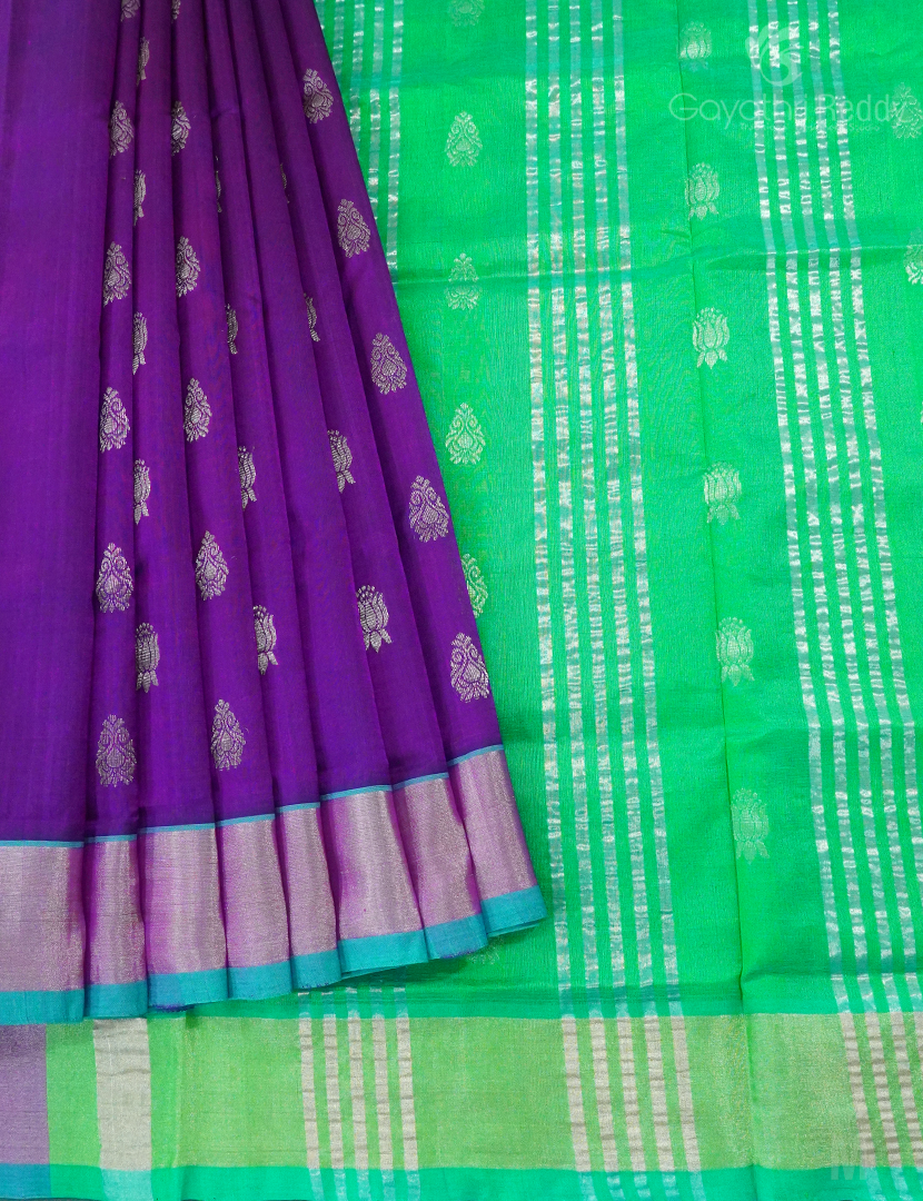 PURE ARANI SICO-PAS268