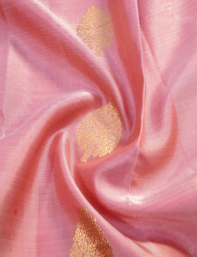 PURE KANCHI PATTU MEDIUM BORDER -KP8362