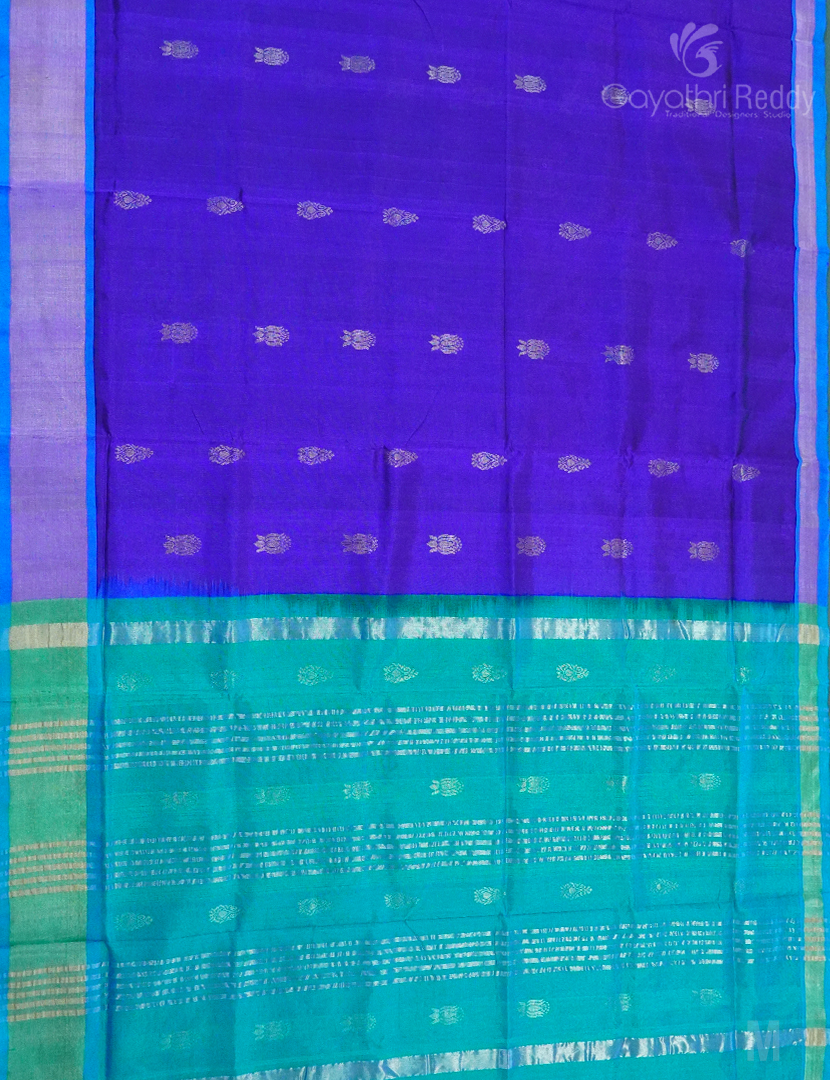 PURE ARANI SICO-PAS272