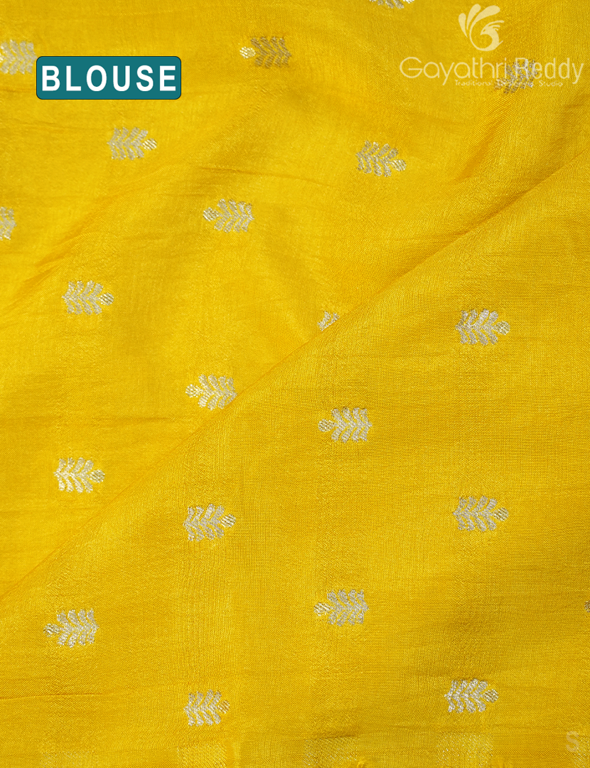 CHINON CHIFFON-PCF195