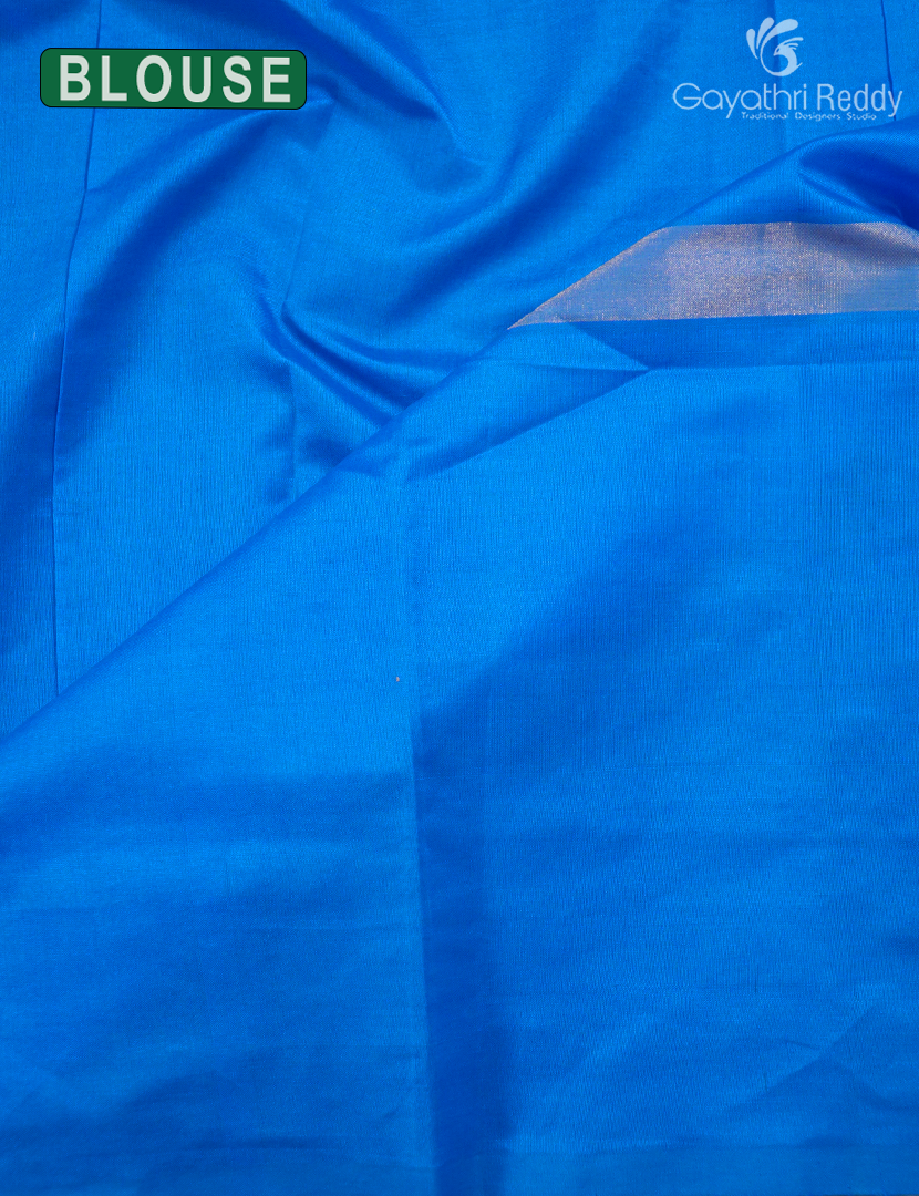 ARANI SILK COTTON-PAS379