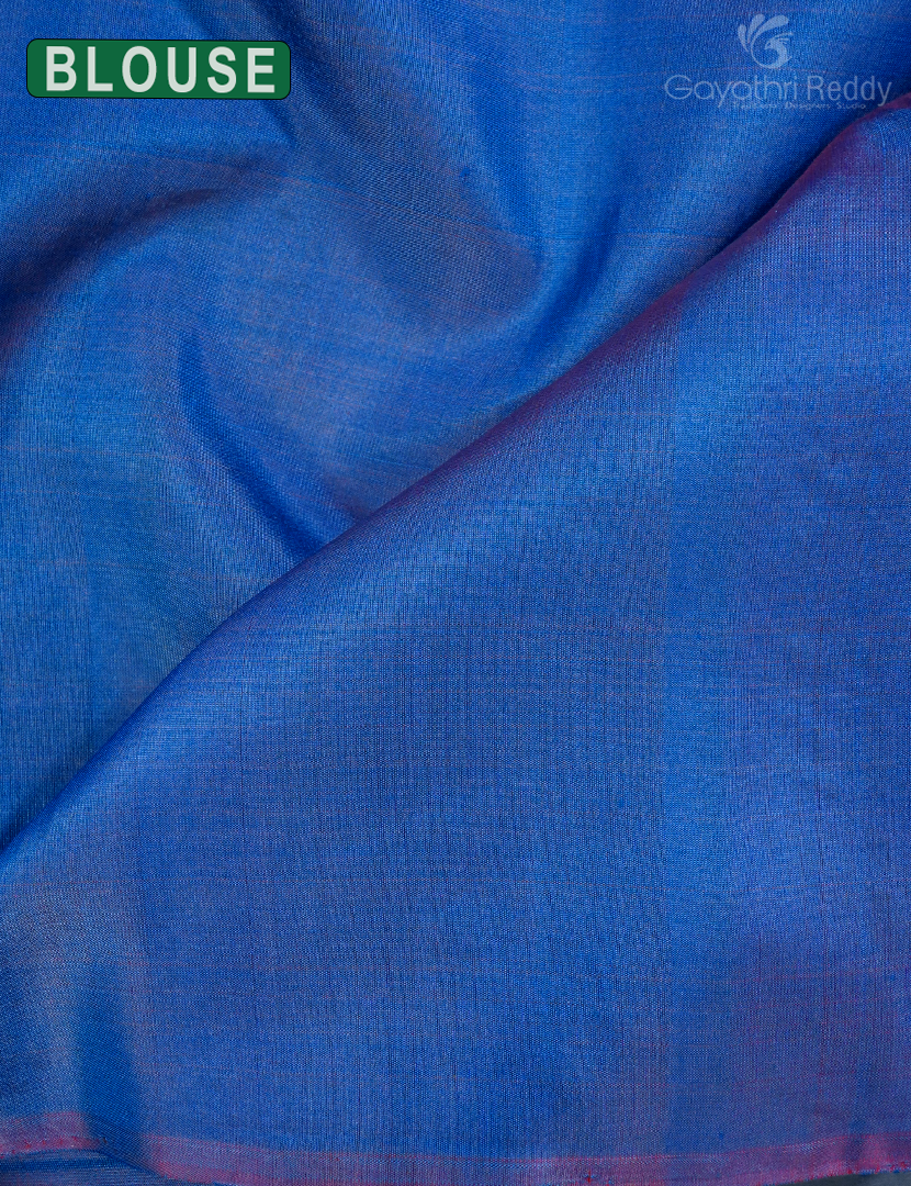 PURE KANCHI VINTAGE SAREE-PKV319