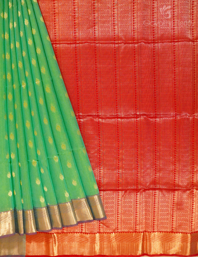 PURE KANCHI SICO-KIS990