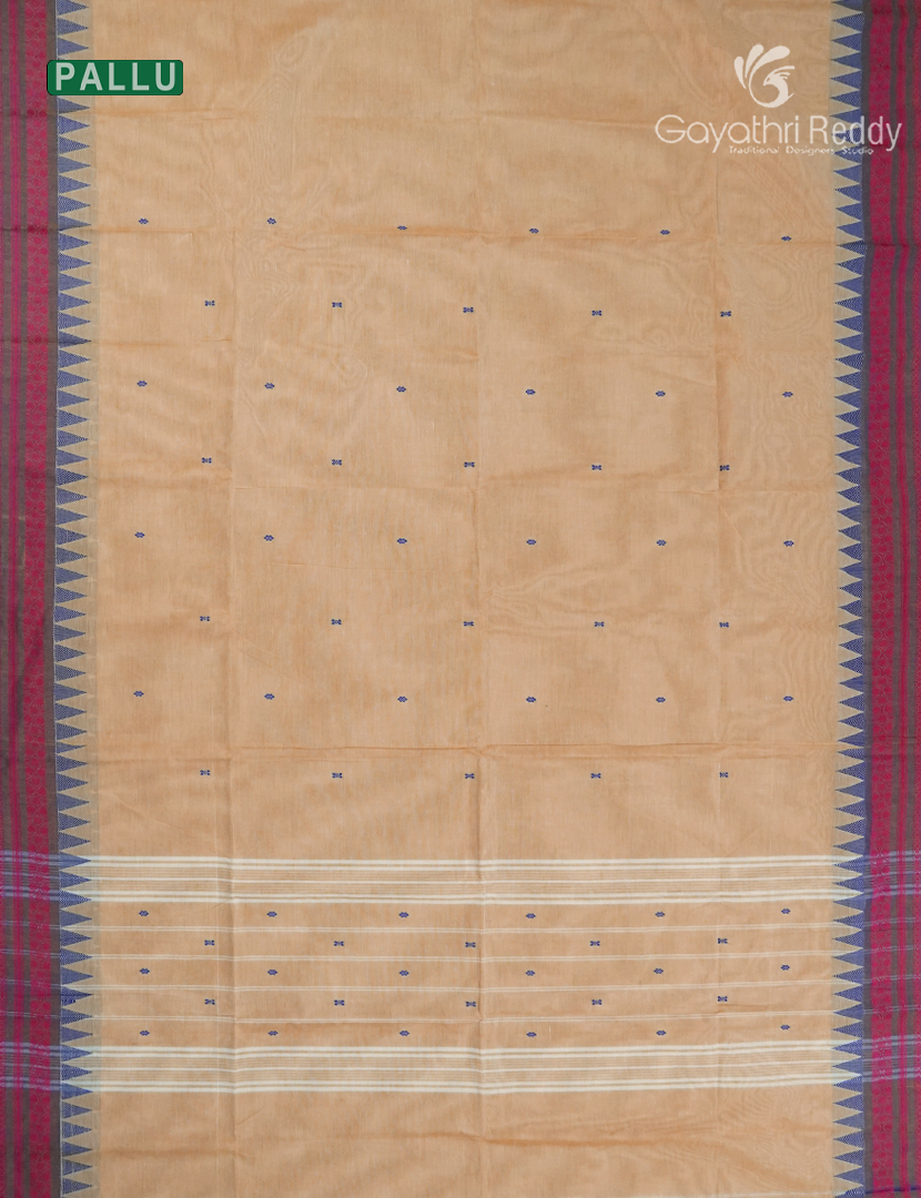 Pure Handloom Cotton Saree in Cream