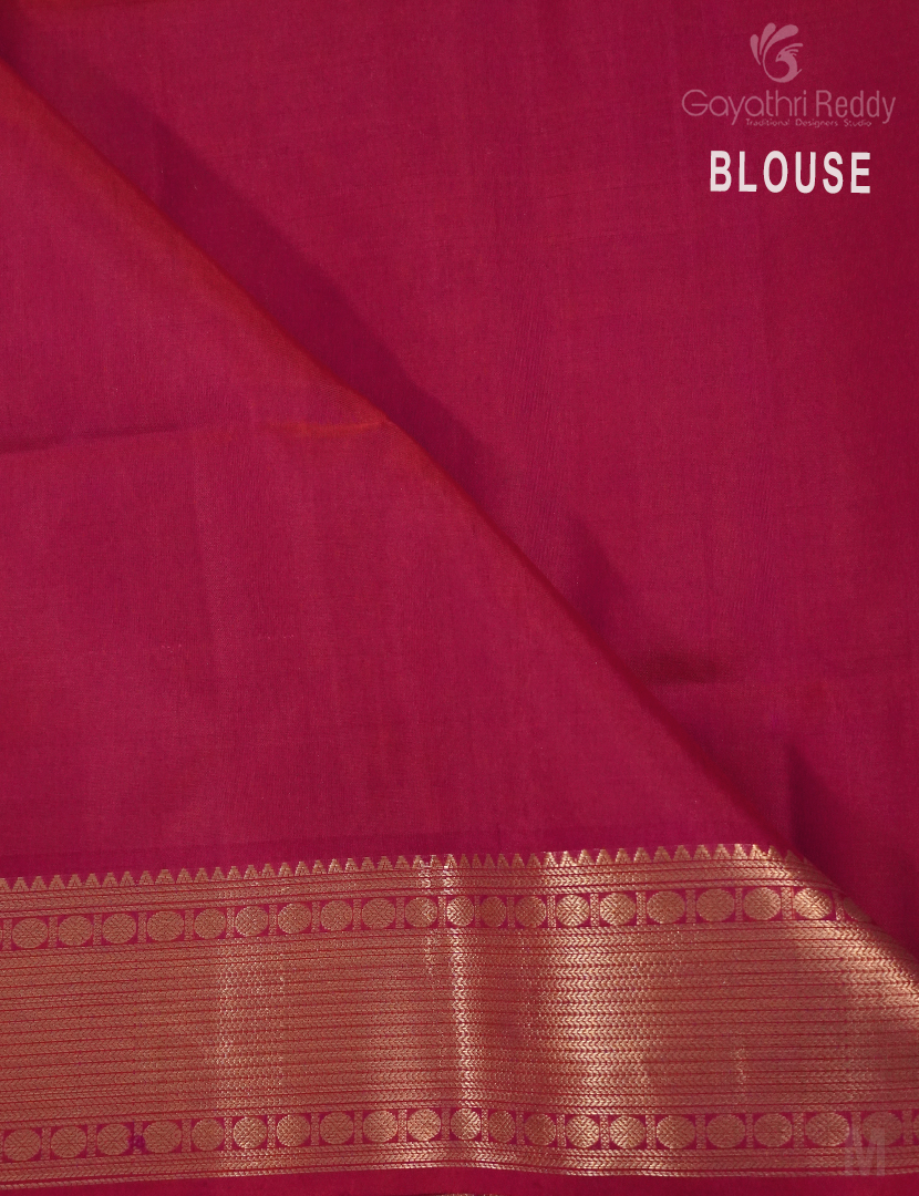 PURE KANCHI IKKAT PATTU-IP645