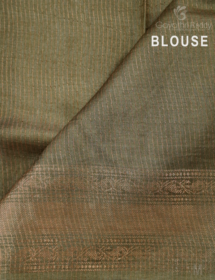 PURE DESI TUSSAR SILK-TS1393