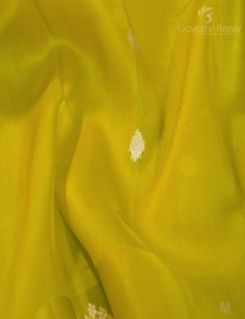 PURE ORGANZA SILK-POF119