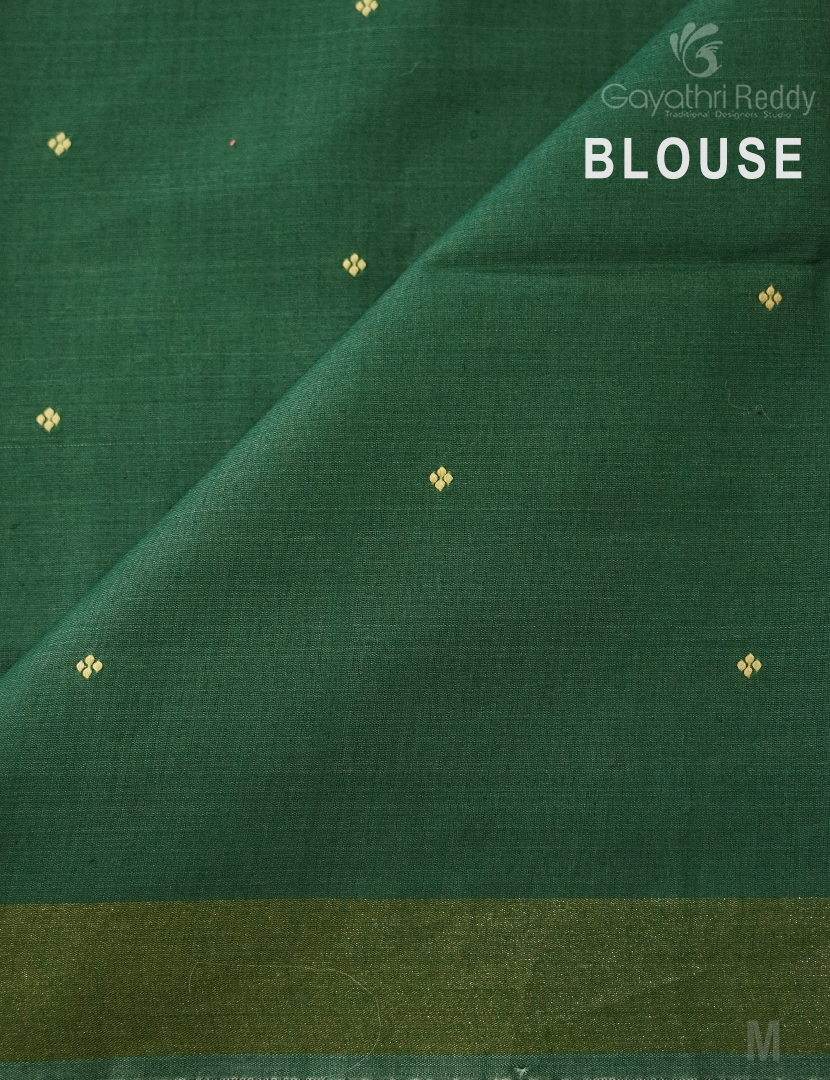 PURE DESI TUSSAR SILK-TS1355
