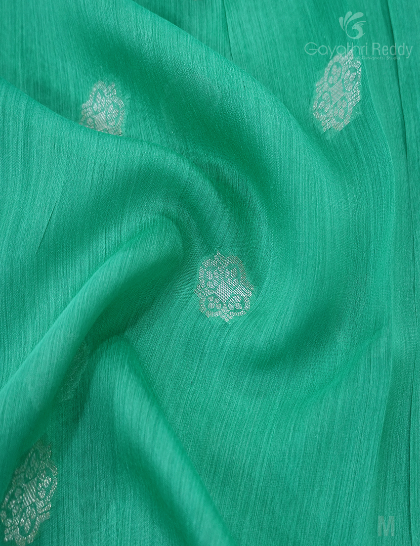 PURE DESI TUSSAR SILK-TS1469
