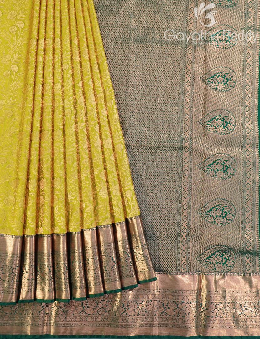 KANCHI PATTU-KP8482