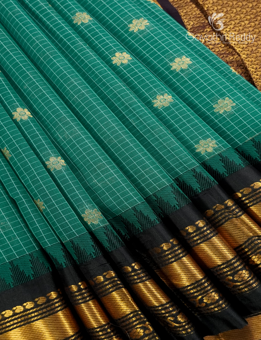 Pure Gadwal Cotton Saree in Sea Foam Green and Black