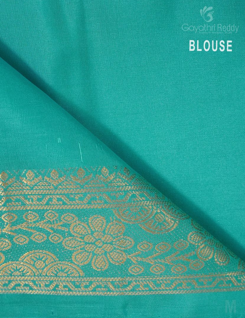 PURE KANCHI IKKAT PATTU-IP648