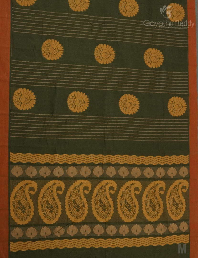 PURE KANCHI COTTON-KC2910
