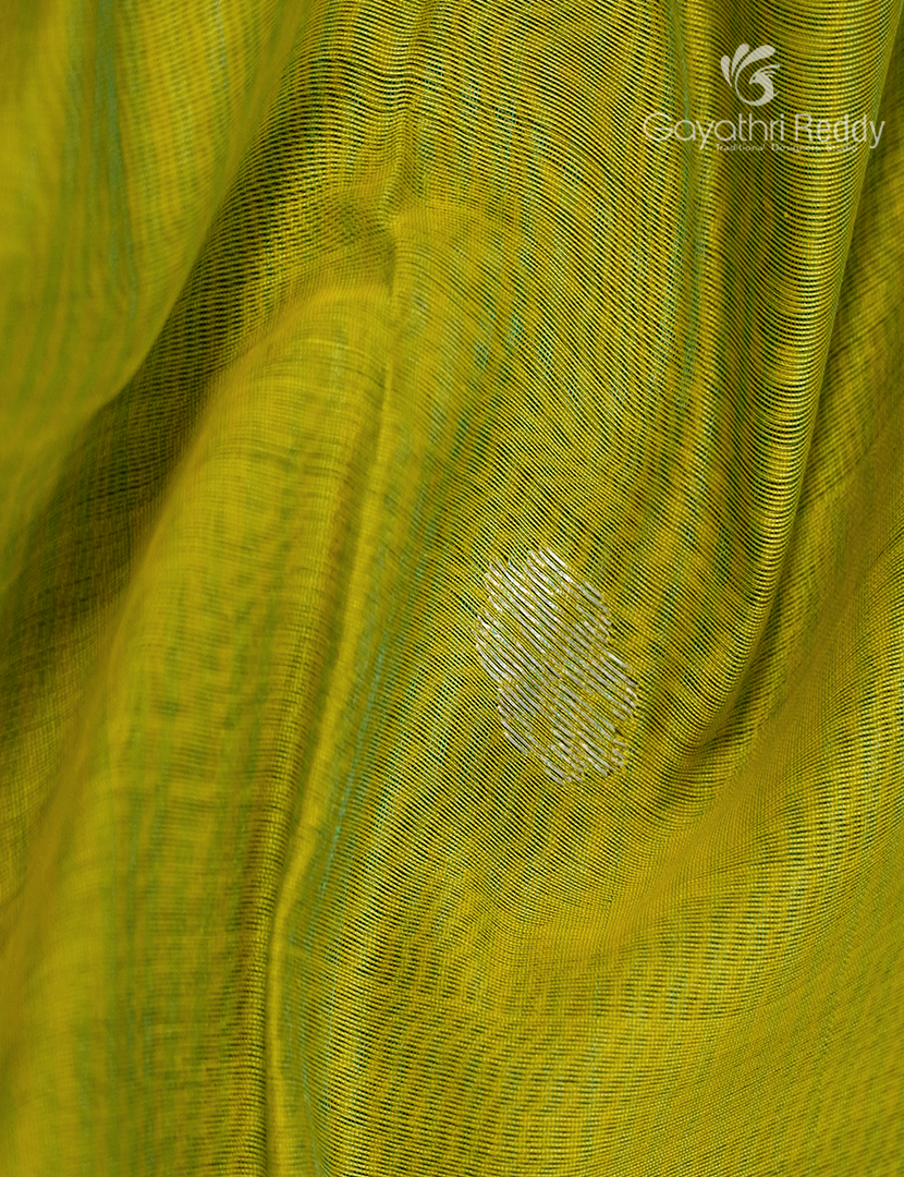 Pure Chanderi Sico Saree in Leaf Green and Sea Blue