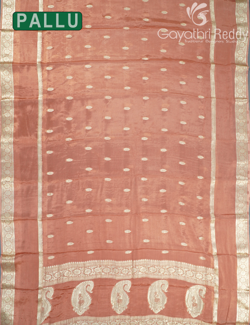 CHINON CHIFFON SAREE-CCS22