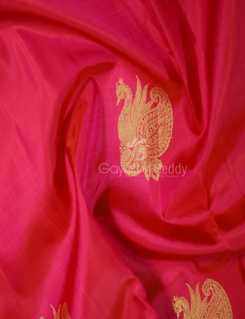 PURE KANCHI DESIGNER-KP5385