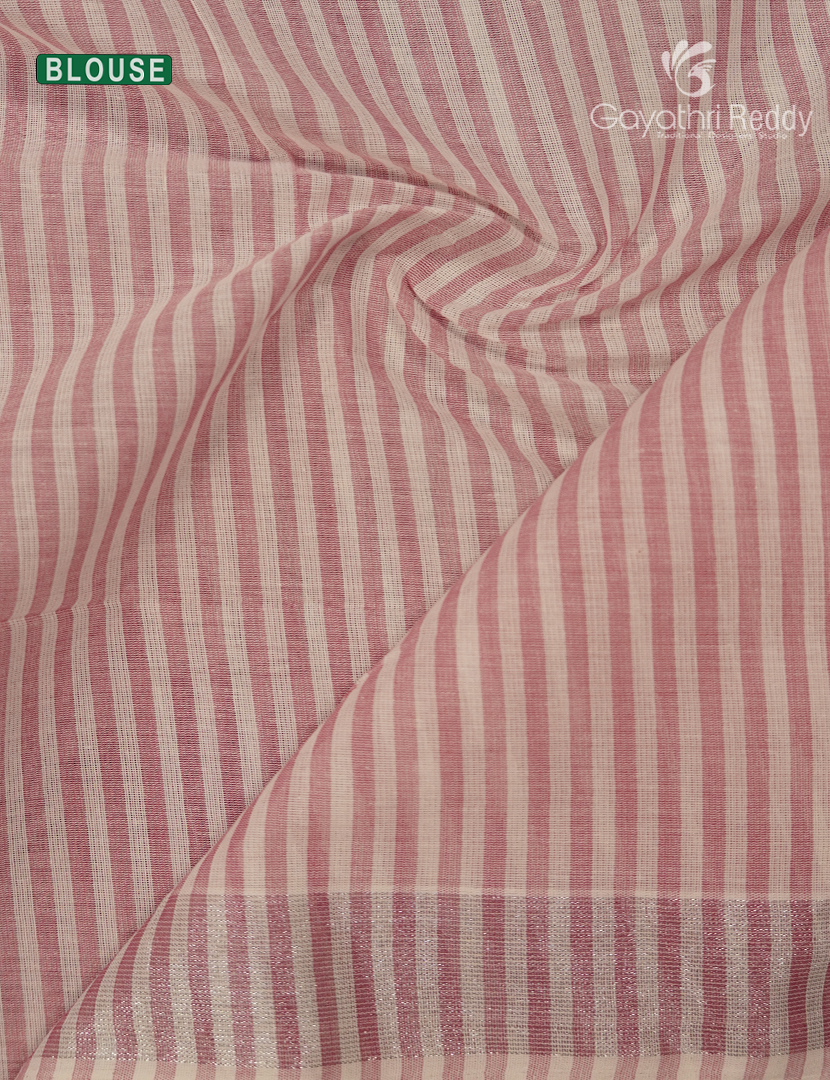 Pure Kanchi Cotton Saree in Cream and Baby Pink