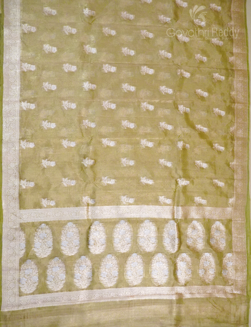 PURE TISSUE SAREE-PT2