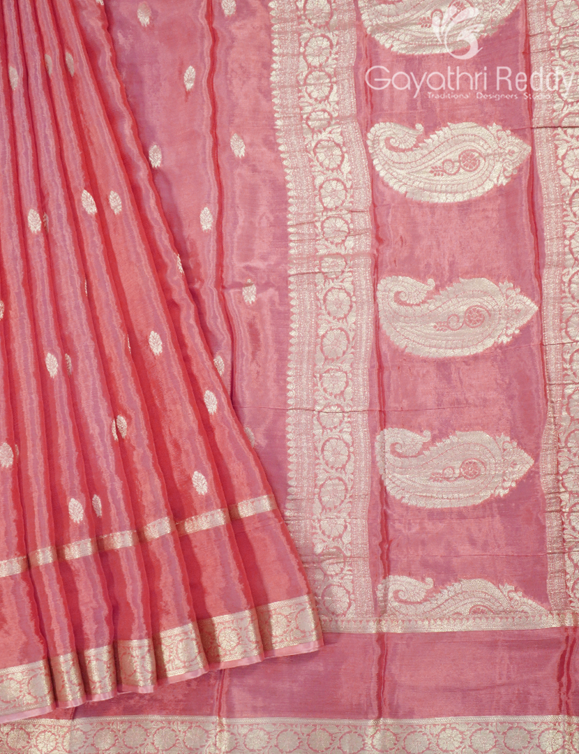 CHINON CHIFFON SAREE-CCS27