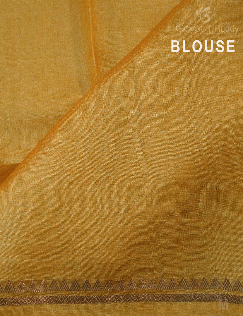 PURE DESI TUSSAR SILK-TS1402