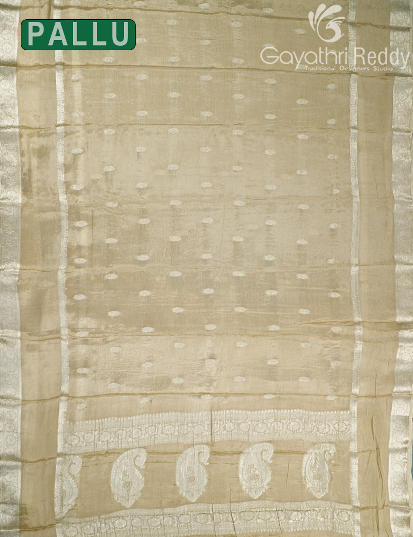 CHINON CHIFFON SAREE-CCS28