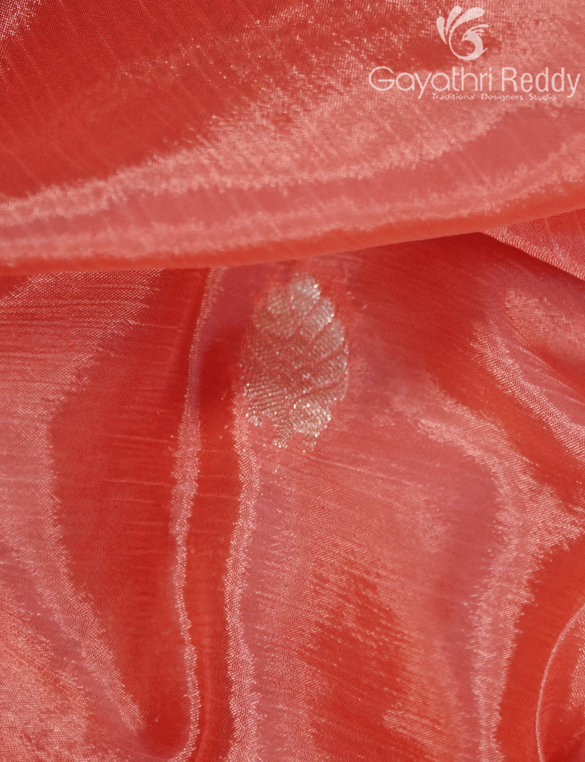 CHINON CHIFFON SAREE-CCS30