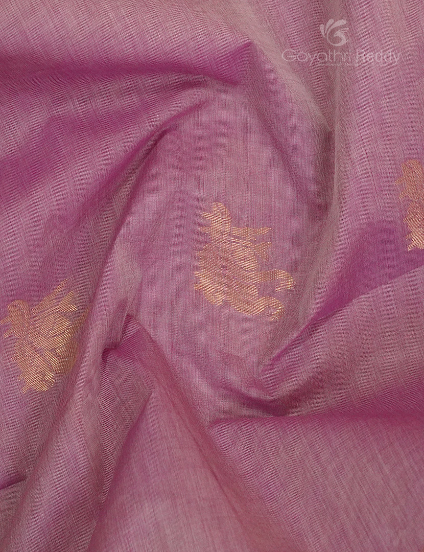 PURE VENKATAGIRI COTTON-VC756