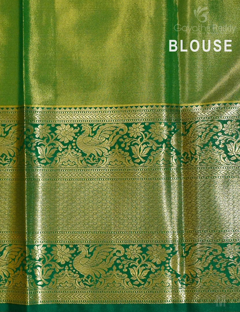 SEMI KANCHI PAVADA SPP62 SEMI KANCHI PAVADA SPP62