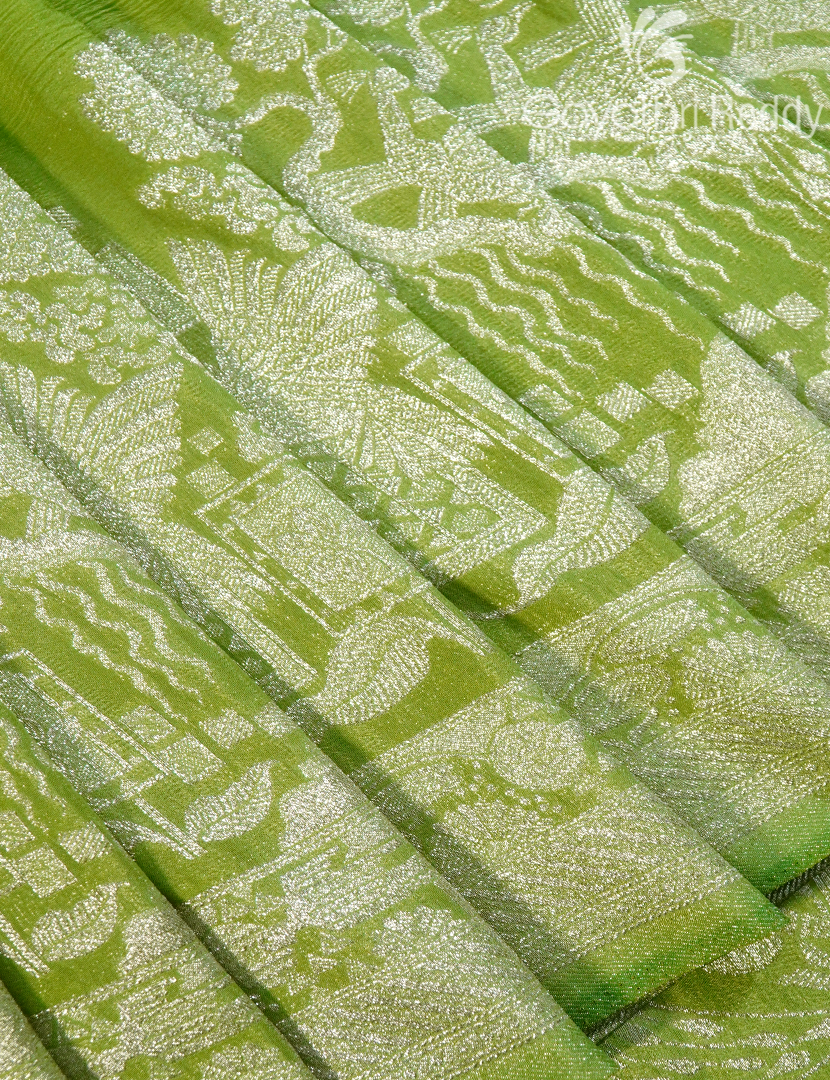 CHINON CHIFFON FANCY-PCF352