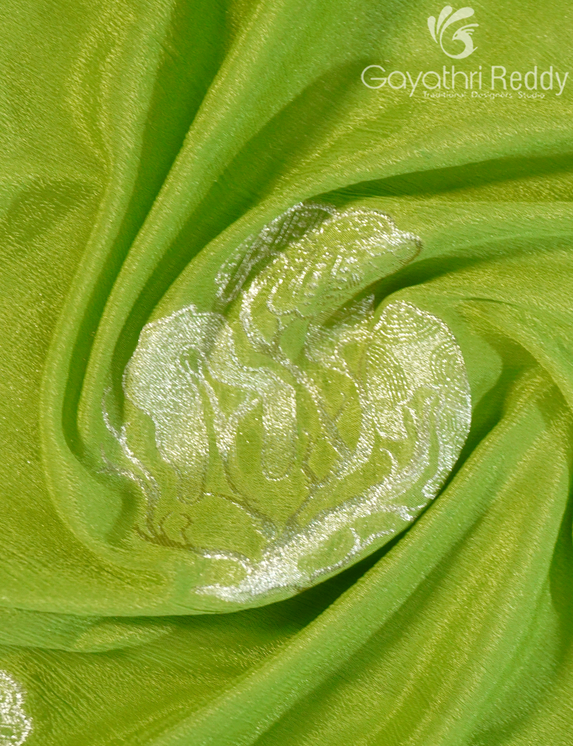 CHINON CHIFFON FANCY-PCF352