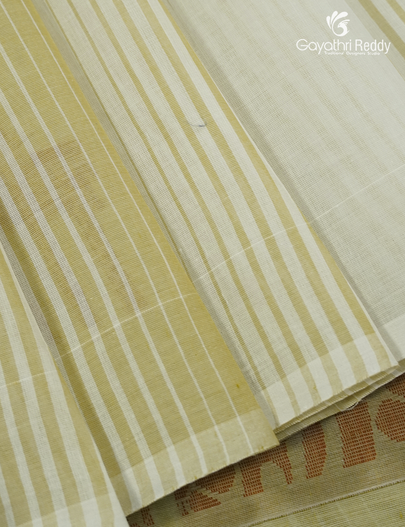 Pure Kanchi Cotton Saree in Cream and Khakhi Green