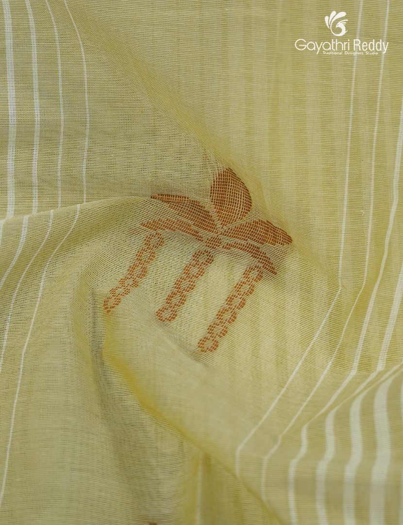 Pure Kanchi Cotton Saree in Cream and Khakhi Green