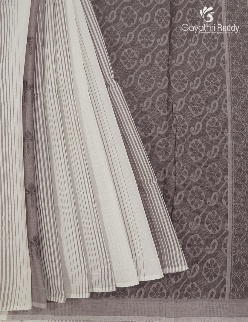 Pure Kanchi Cotton Saree in Cream and Brown