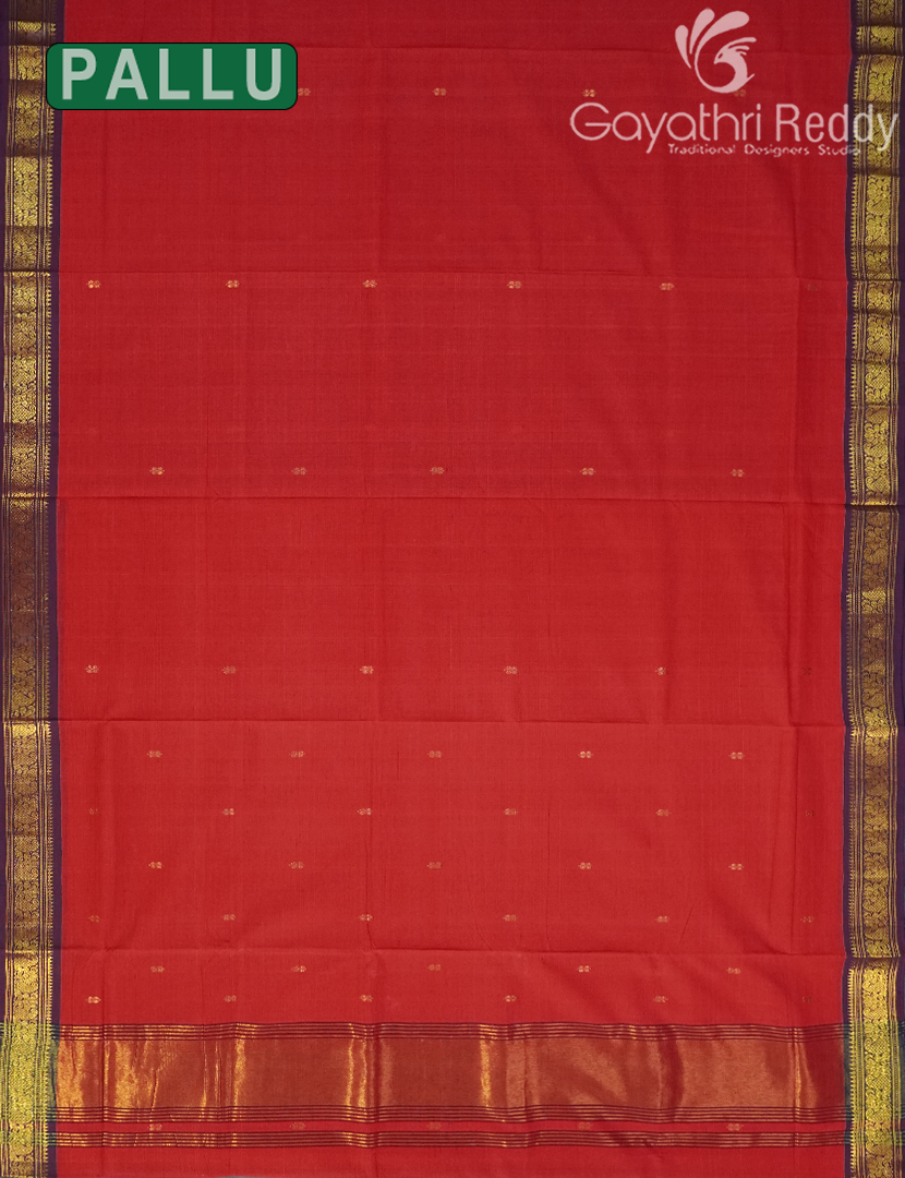 PURE VENKATAGIRI COTTON-VC892