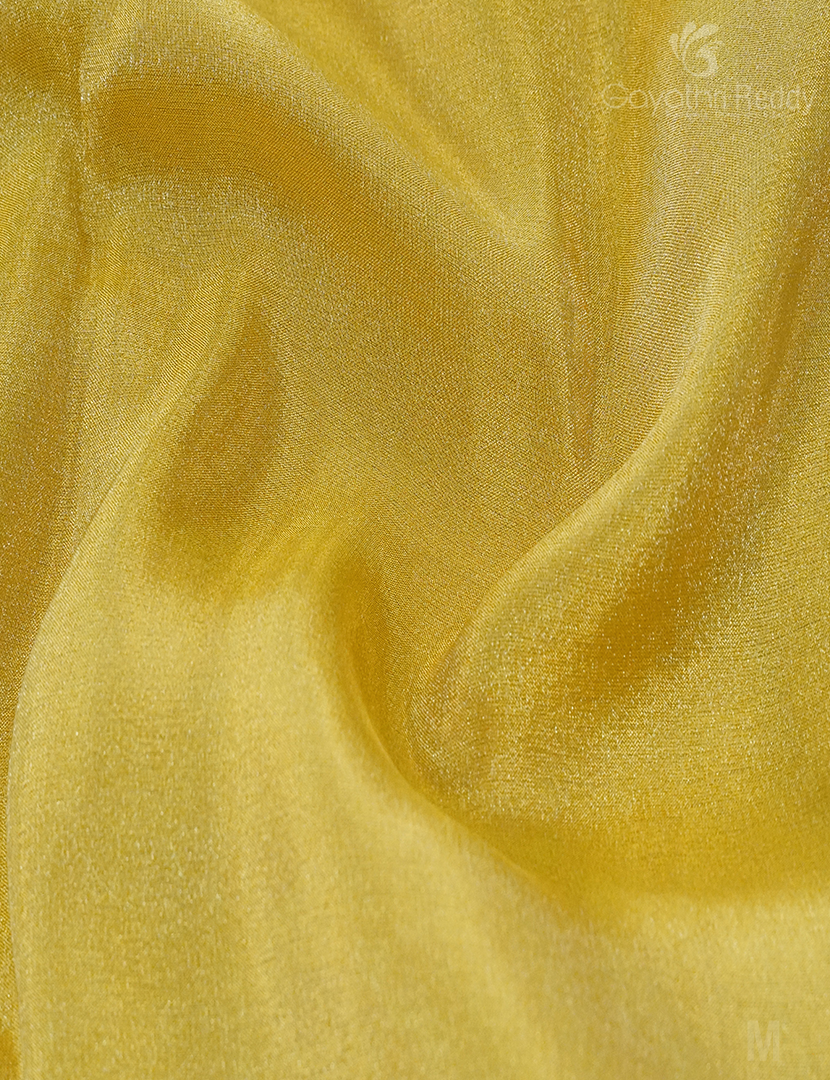 BANARAS TISSUE SAREE-BTK157