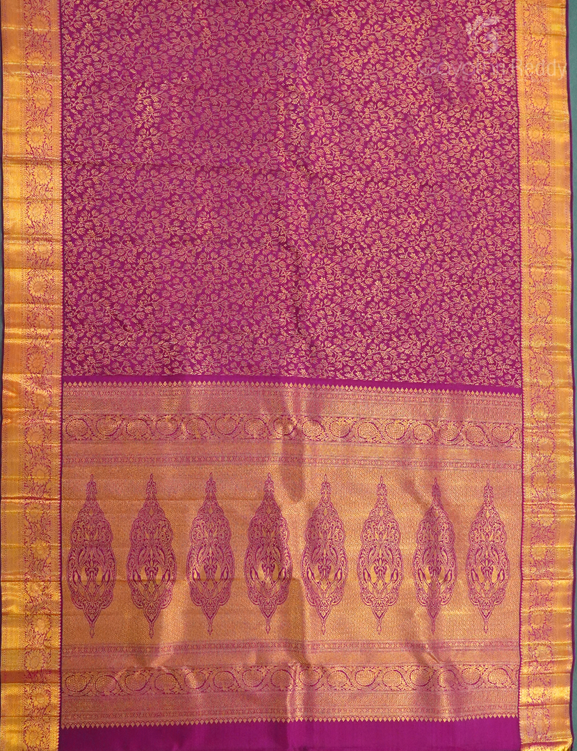 PURE KANCHI (2.G) PATTU-KP7604