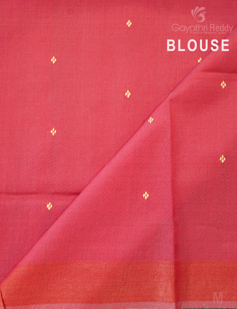 PURE DESI TUSSAR SILK-TS1358