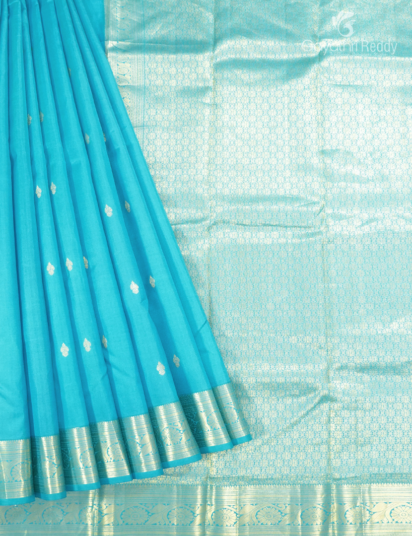 Pure Kanchipuram Vintage Silk Saree in Sky Blue
