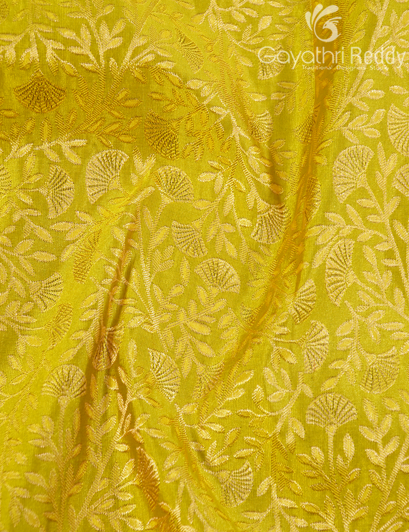 KANCHI PATTU-KP8515