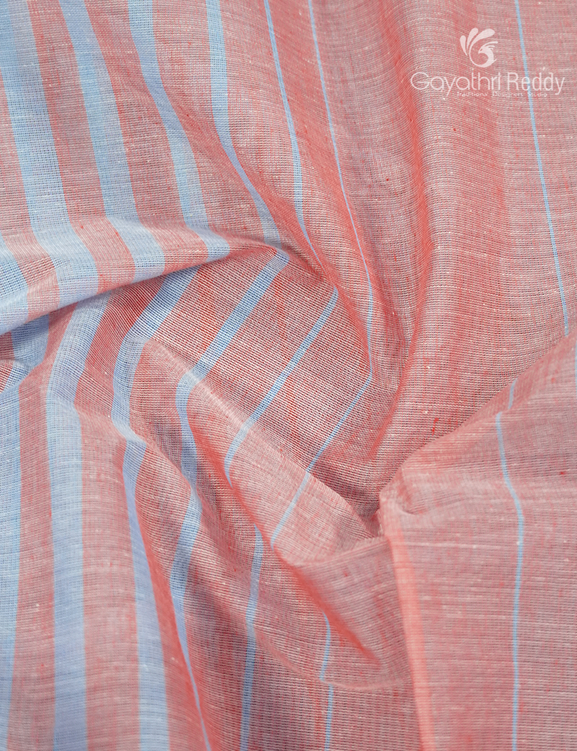 Pure Handloom Cotton Saree in Powder Blue and Peach