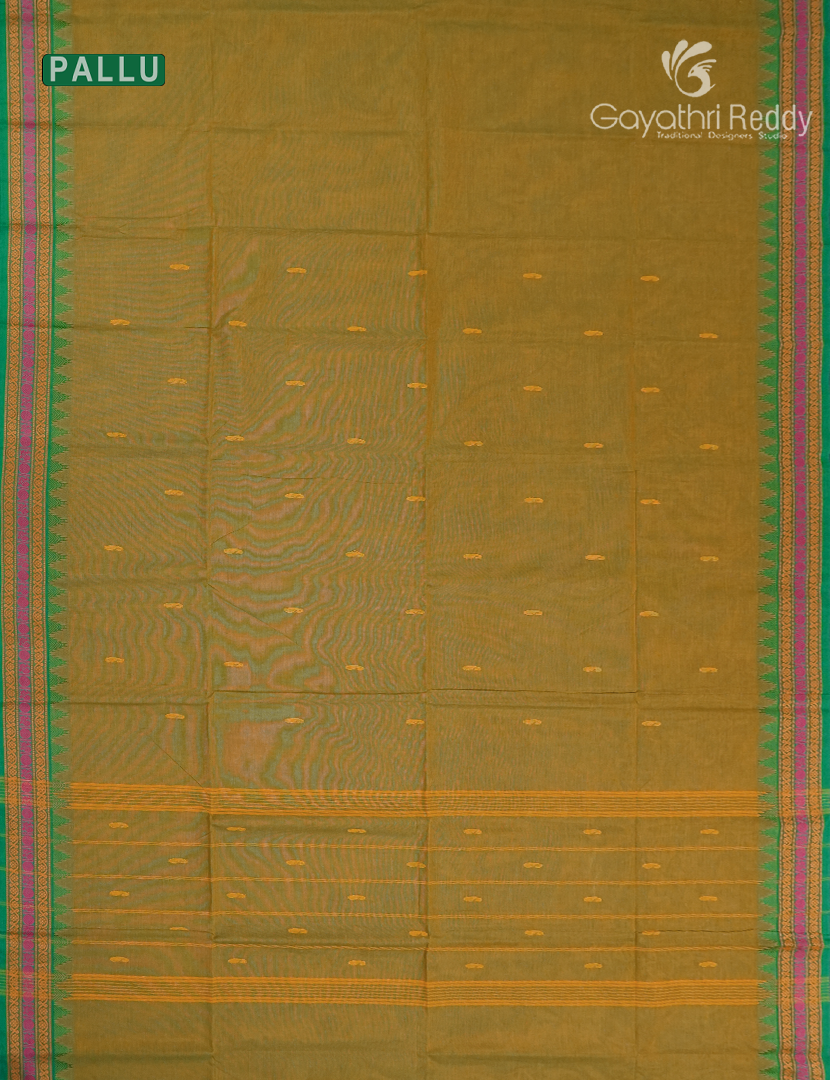 Pure Handloom Cotton Saree in Dual tone of Mehendi Green